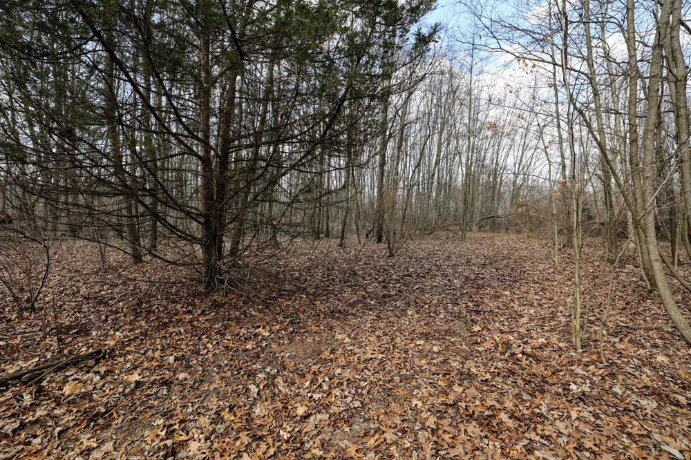 40th Street Bloomingdale, MI 49026