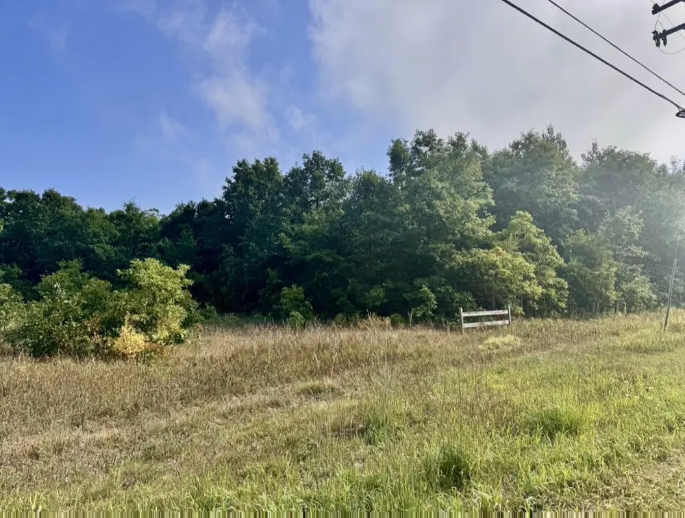 9554 U.S. 10 Branch, MI 49402