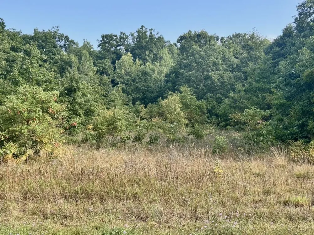 9554 U.S. 10 Branch, MI 49402