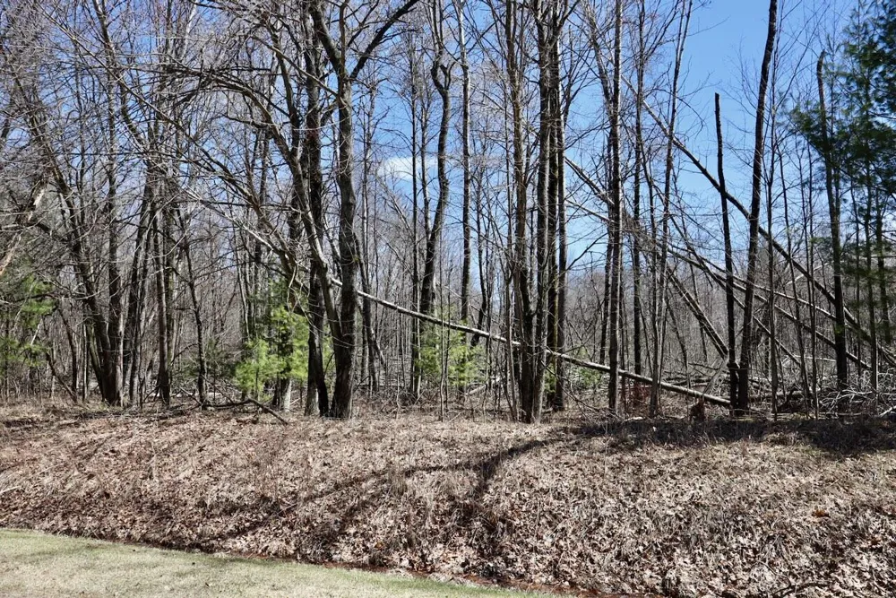1697 Wildwood Road Sterling, MI 48659