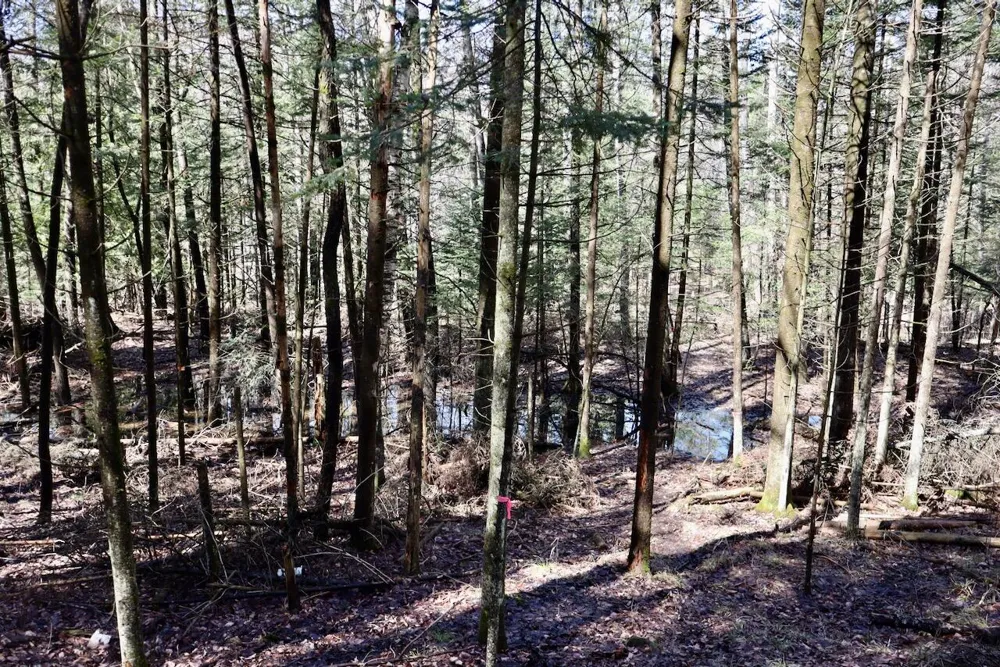 1697 Wildwood Road Sterling, MI 48659