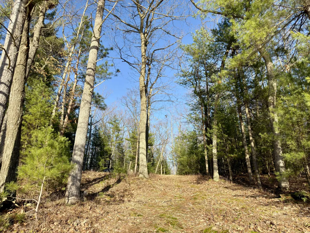 5 E Shingle Mill Way Manistee, MI 49660
