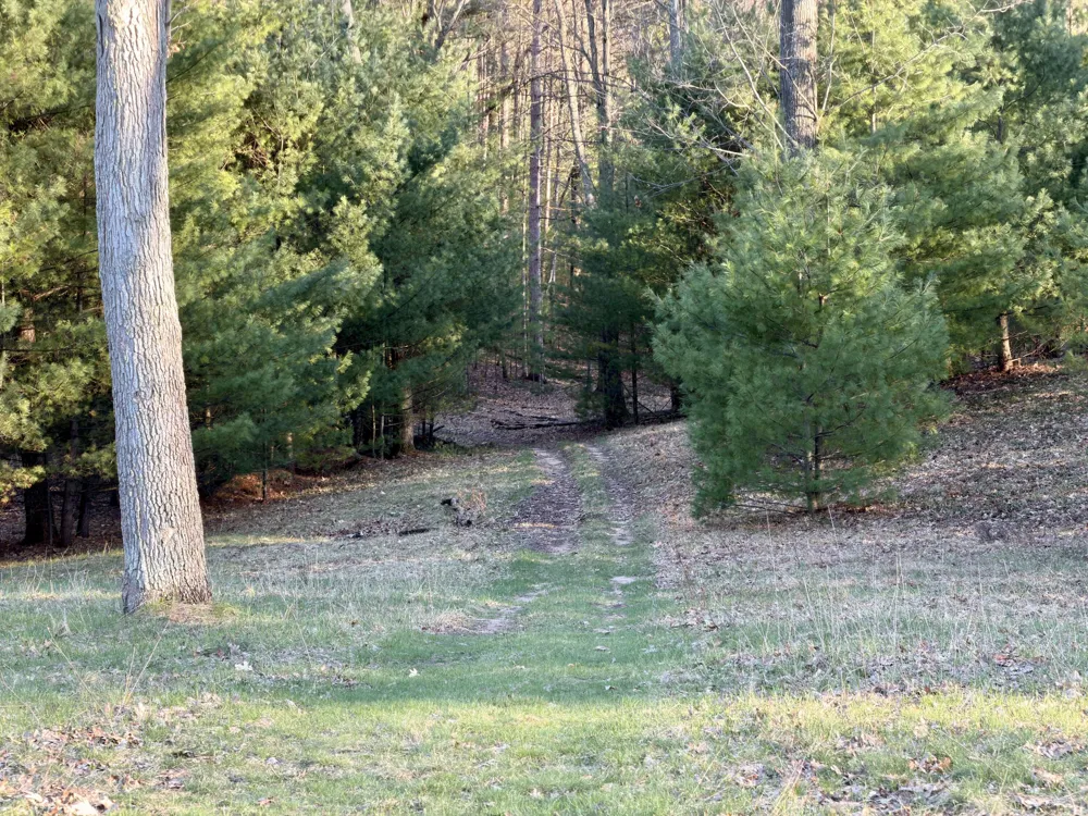 5 E Shingle Mill Way Manistee, MI 49660