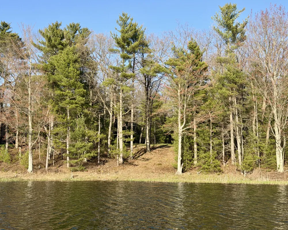 5 E Shingle Mill Way Manistee, MI 49660