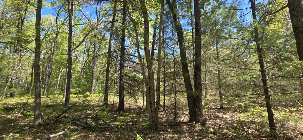 E Koenig Road Free Soil, MI 49411