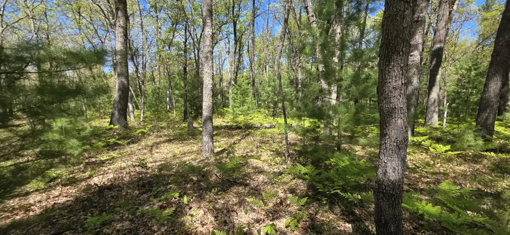 E Koenig Road Free Soil, MI 49411