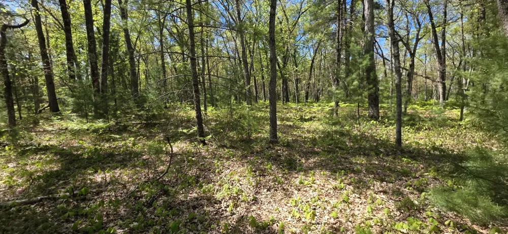 E Koenig Road Free Soil, MI 49411