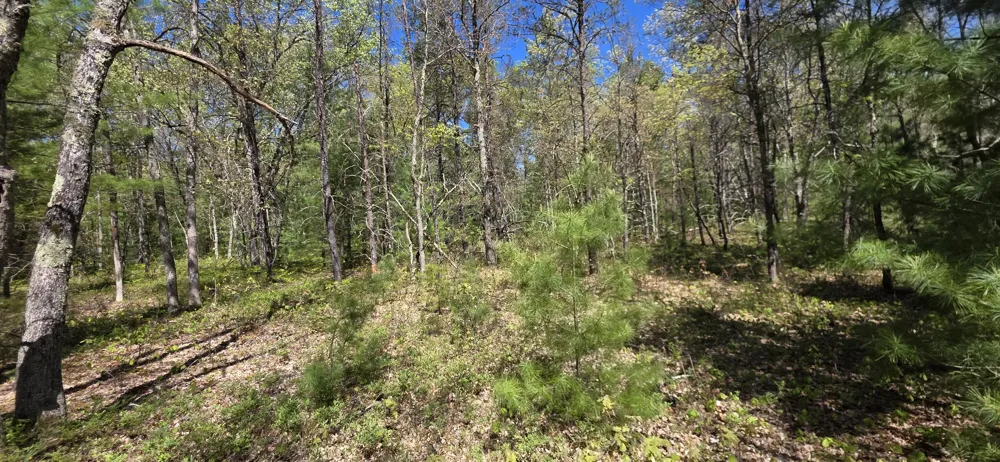E Koenig Road Free Soil, MI 49411