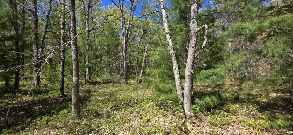 E Koenig Road Free Soil, MI 49411