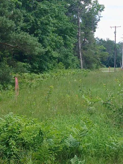 7860 S Grayling Road Grayling, MI 49738