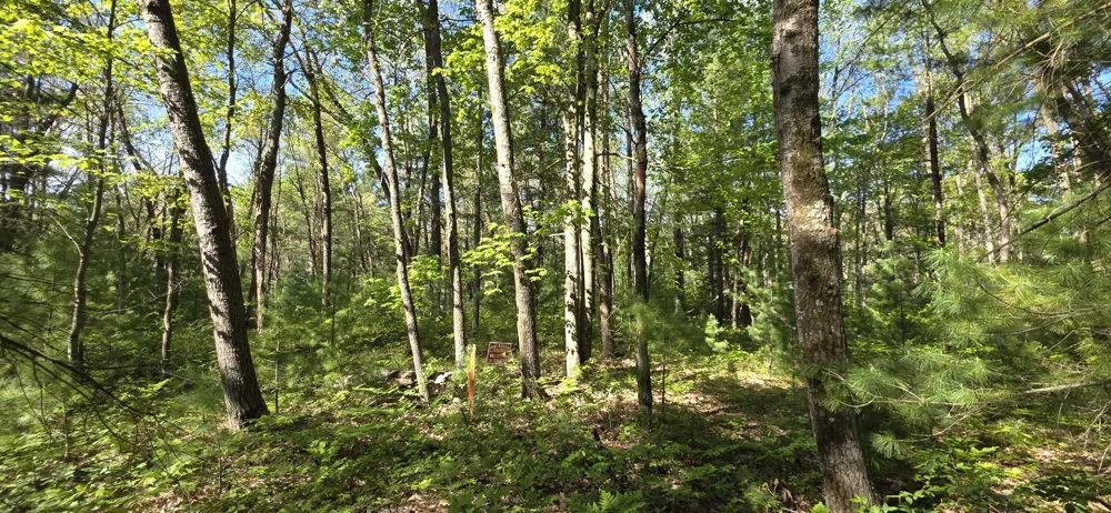 E Hoague Road Free Soil, MI 49411