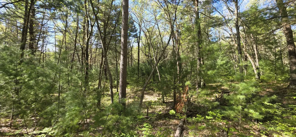 E Hoague Road Free Soil, MI 49411
