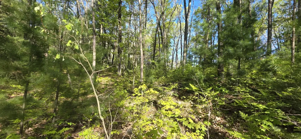 E Hoague Road Free Soil, MI 49411