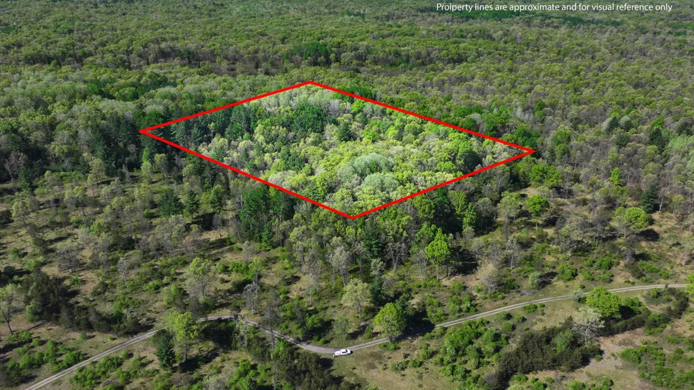 E Hoague Road Free Soil, MI 49411