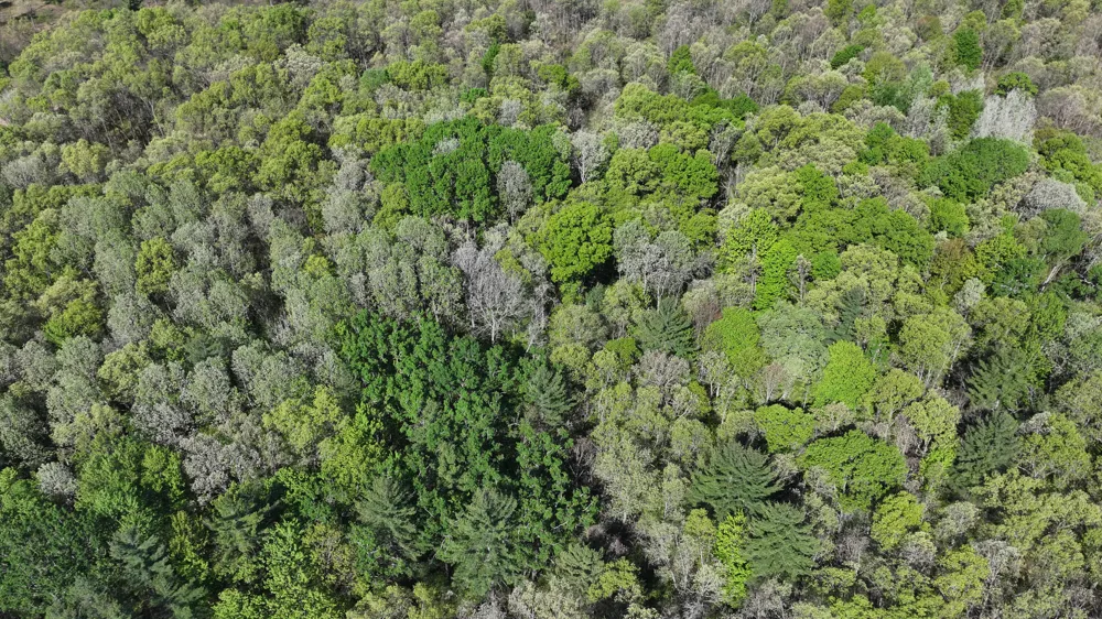 E Hoague Road Free Soil, MI 49411