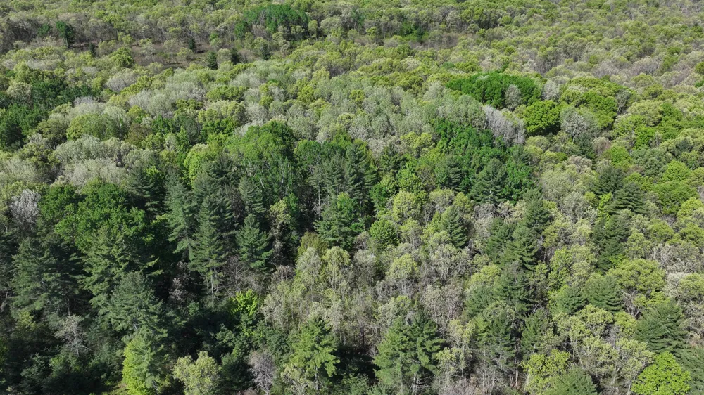 E Hoague Road Free Soil, MI 49411