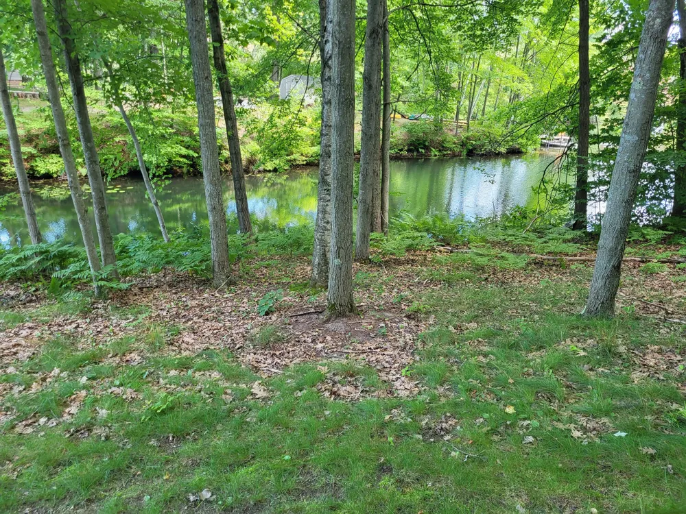 W School Section Lake Drive Mecosta, MI 49332