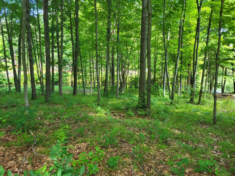 W School Section Lake Drive Mecosta, MI 49332
