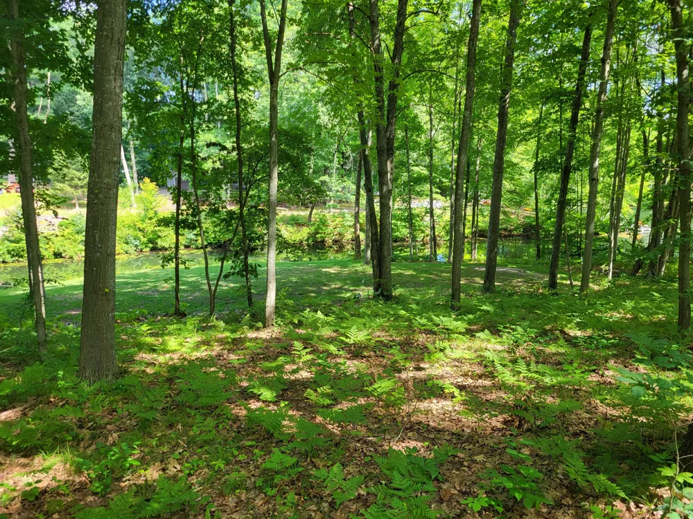 W School Section Lake Drive Mecosta, MI 49332