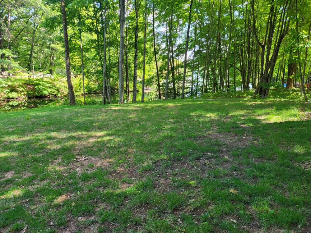 W School Section Lake Drive Mecosta, MI 49332