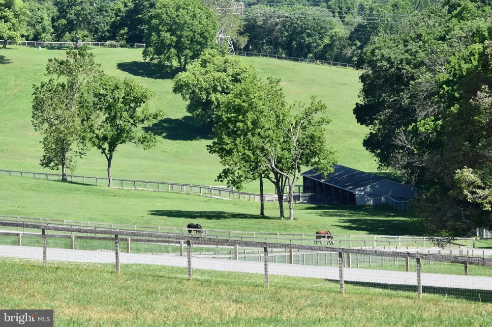 1089 NESBITT ROAD Colora, MD 21917