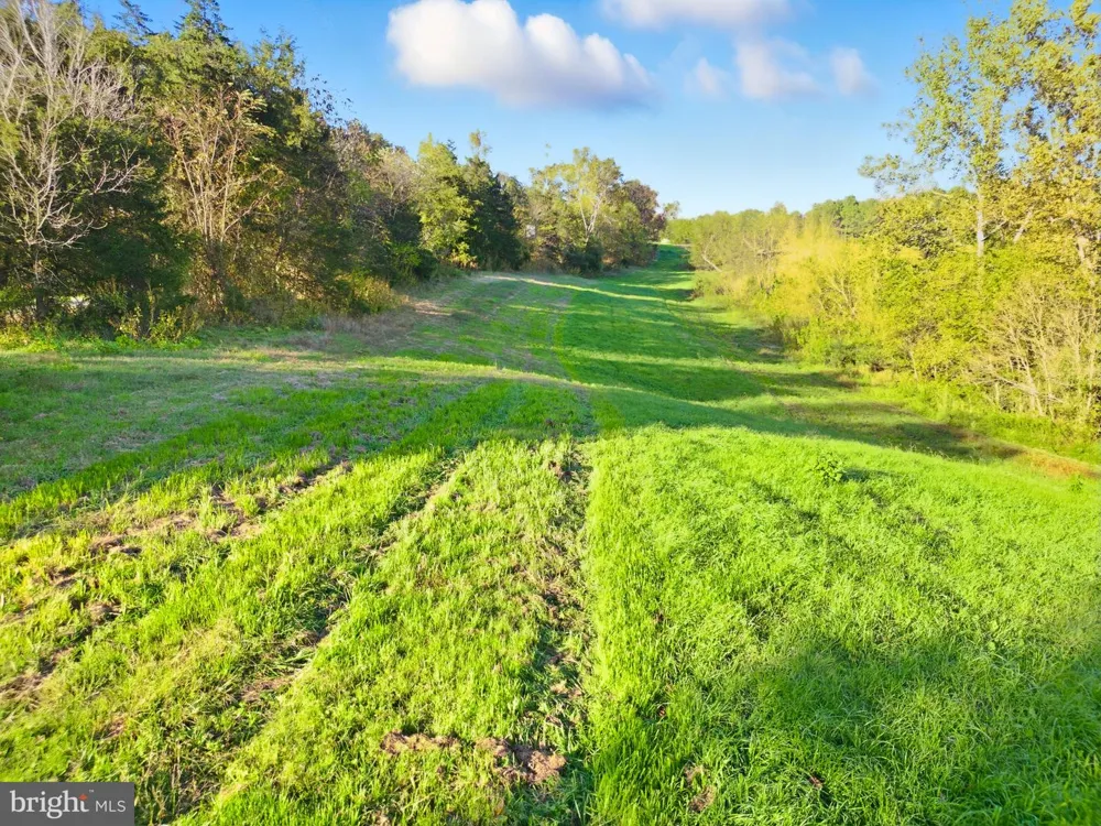 240 STONELEIGH ROAD Palmyra, VA 22963
