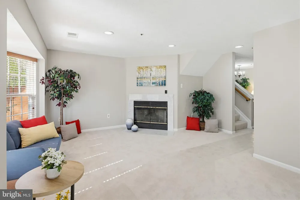 6020 SAME SONG SQUARE #45 Columbia, MD 21044