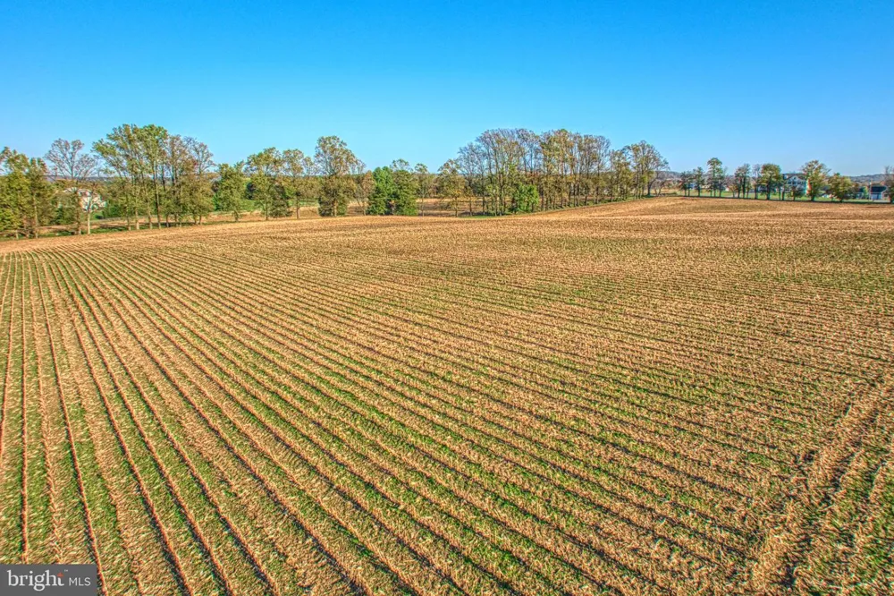 38678 PIGGOTT BOTTOM ROAD Hamilton, VA 20158