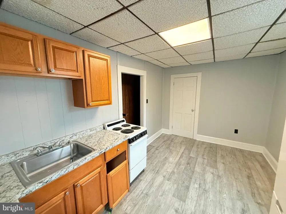 145 SPRING VALLEY ROAD Muhlenberg Township, PA 19605