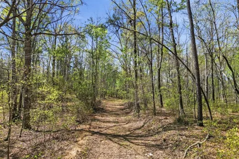 3094 Flat Bottom Road
