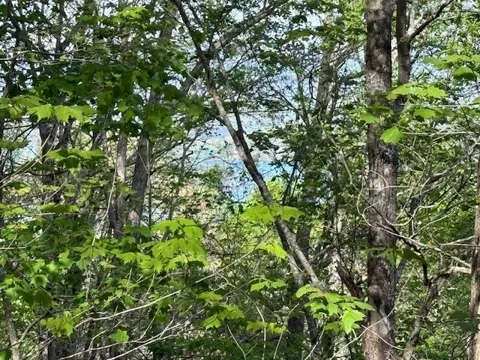 00 Mining Gap Road