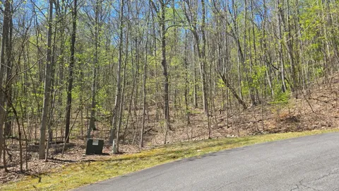 Lot 18 Overlook Loop