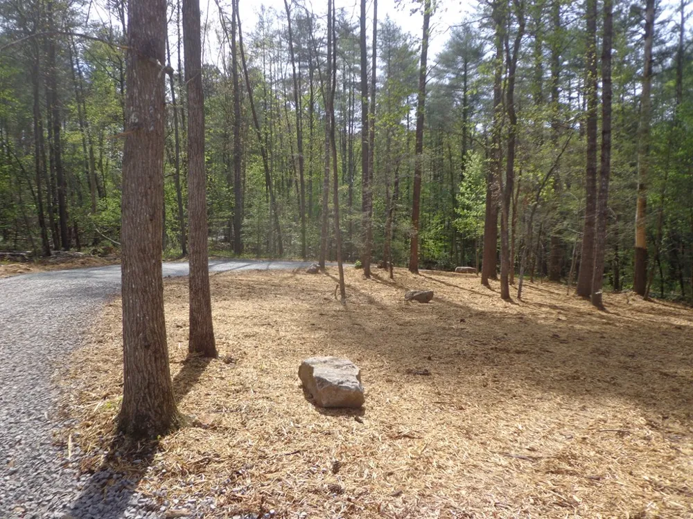561 Woodland Trail Epworth, GA 30541