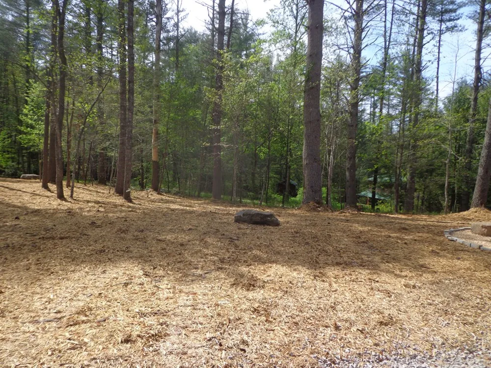 561 Woodland Trail Epworth, GA 30541