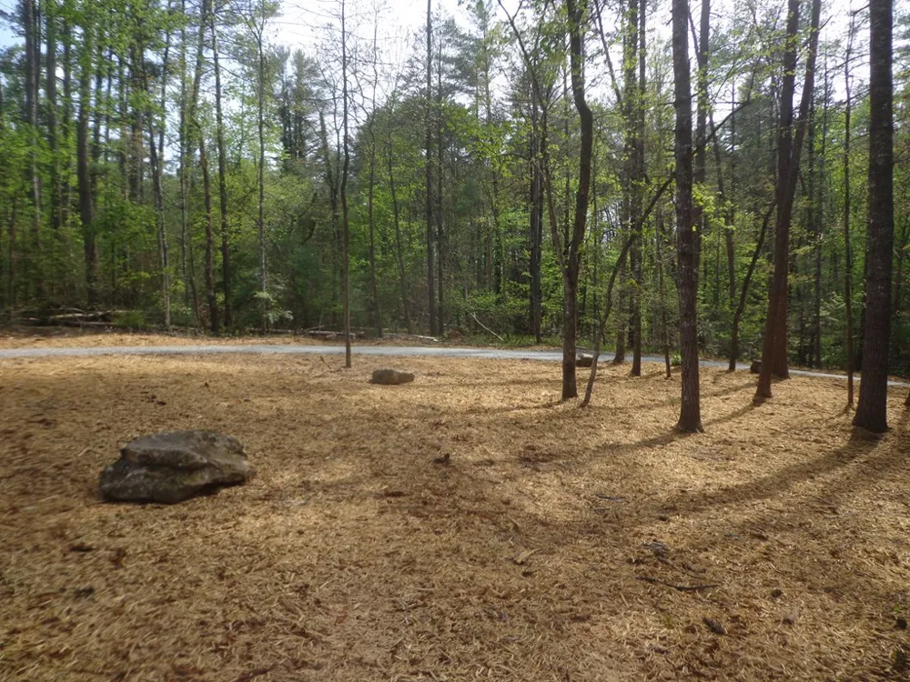 561 Woodland Trail Epworth, GA 30541