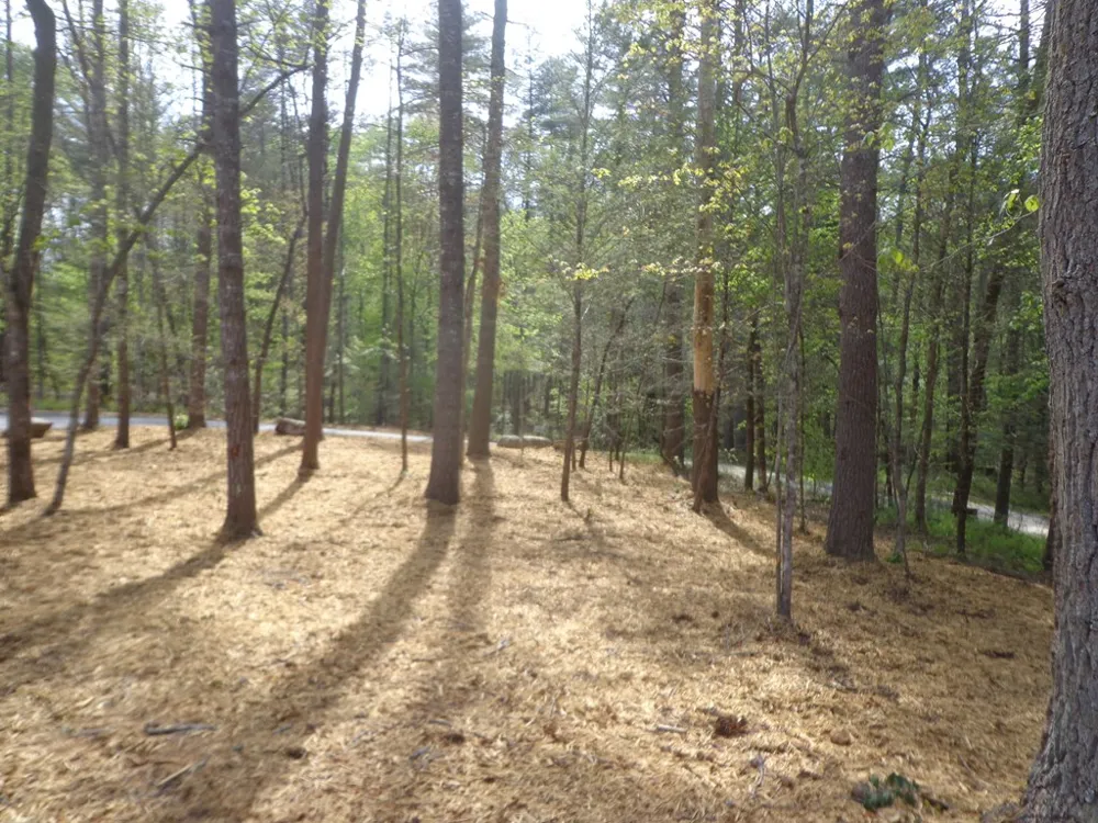 561 Woodland Trail Epworth, GA 30541