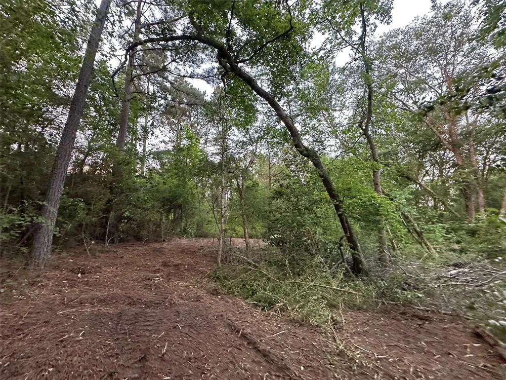 85 Pr 1317 Centerville, TX 75833