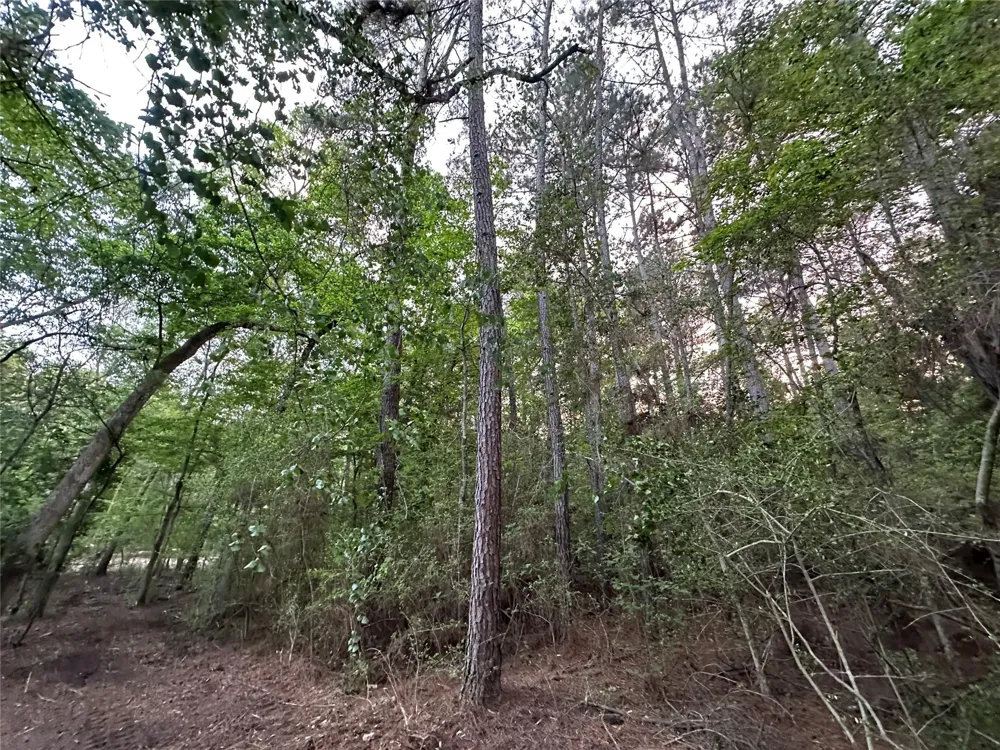 85 Pr 1317 Centerville, TX 75833