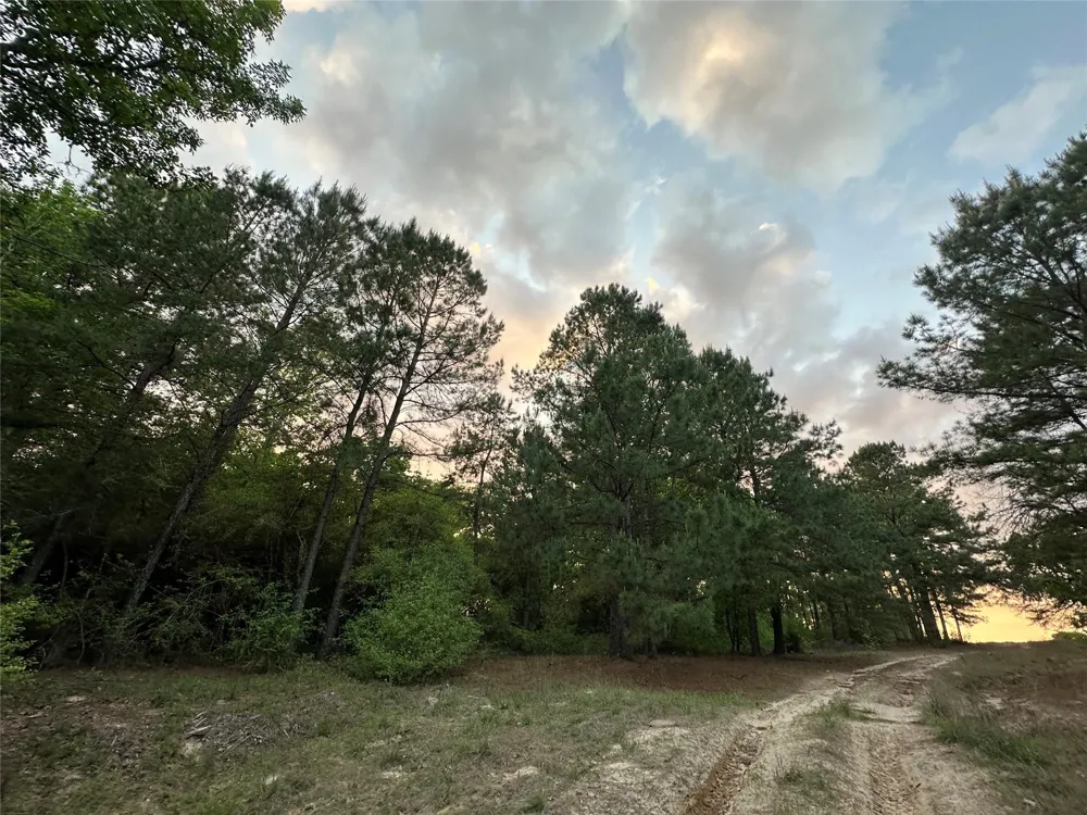85 Pr 1317 Centerville, TX 75833