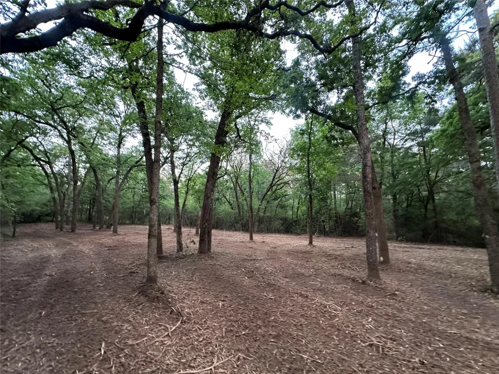 85 Pr 1317 Centerville, TX 75833