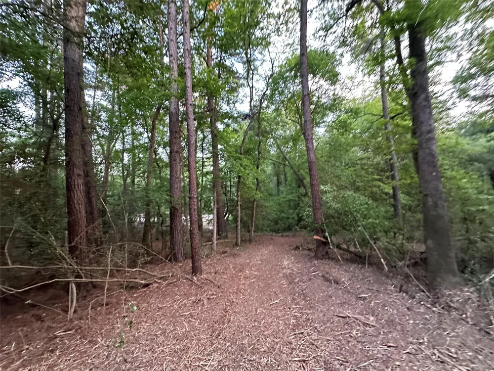 85 Pr 1317 Centerville, TX 75833