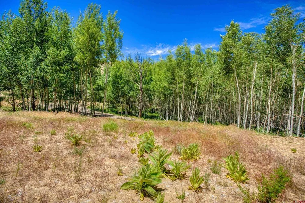 302 Rickel Circle South Fork, CO 81154