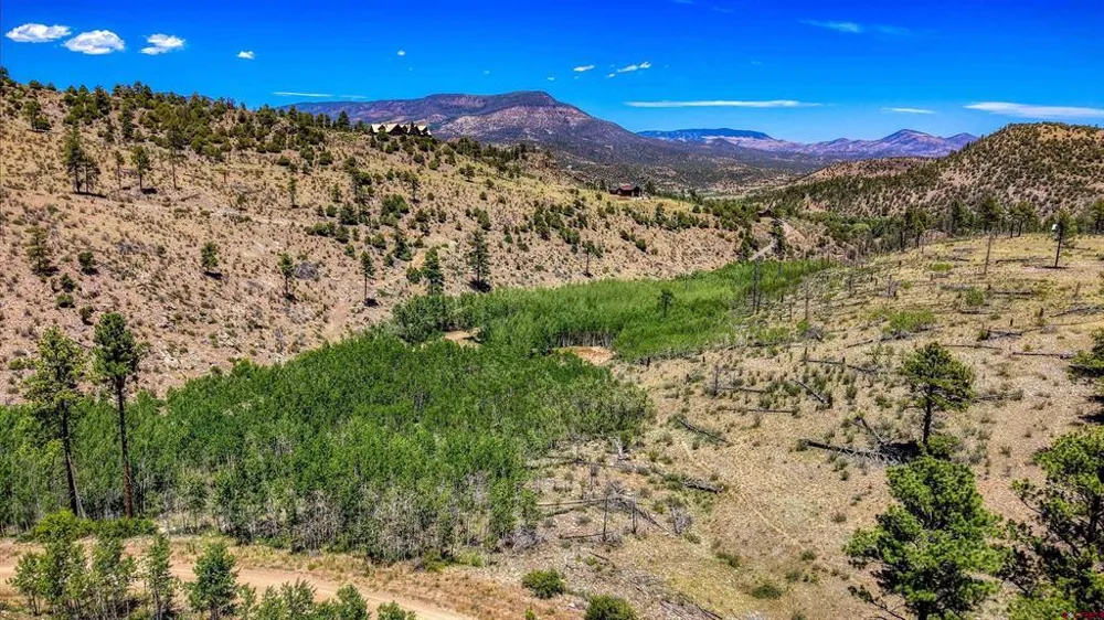 302 Rickel Circle South Fork, CO 81154