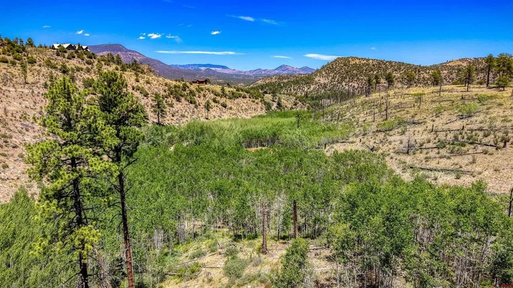 302 Rickel Circle South Fork, CO 81154