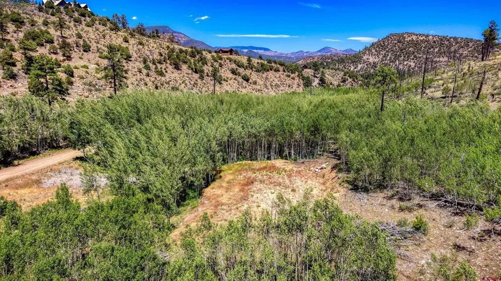 302 Rickel Circle South Fork, CO 81154
