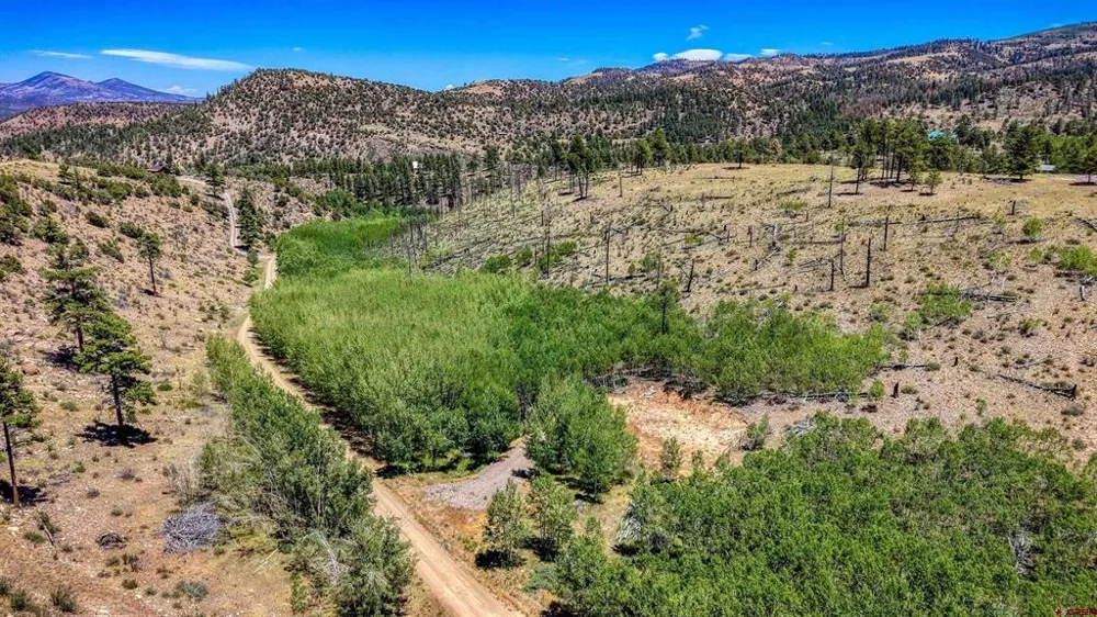 302 Rickel Circle South Fork, CO 81154
