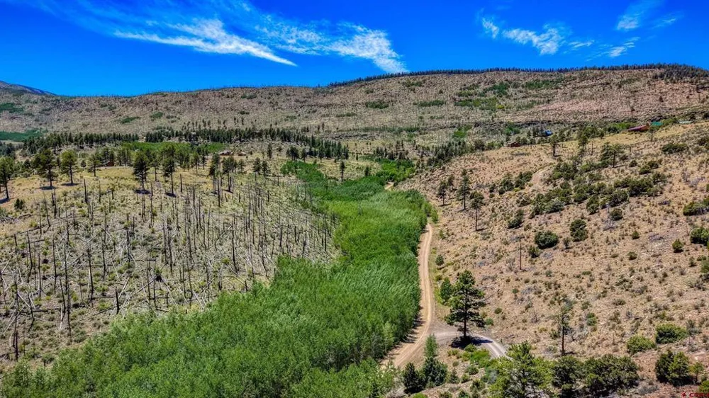 302 Rickel Circle South Fork, CO 81154