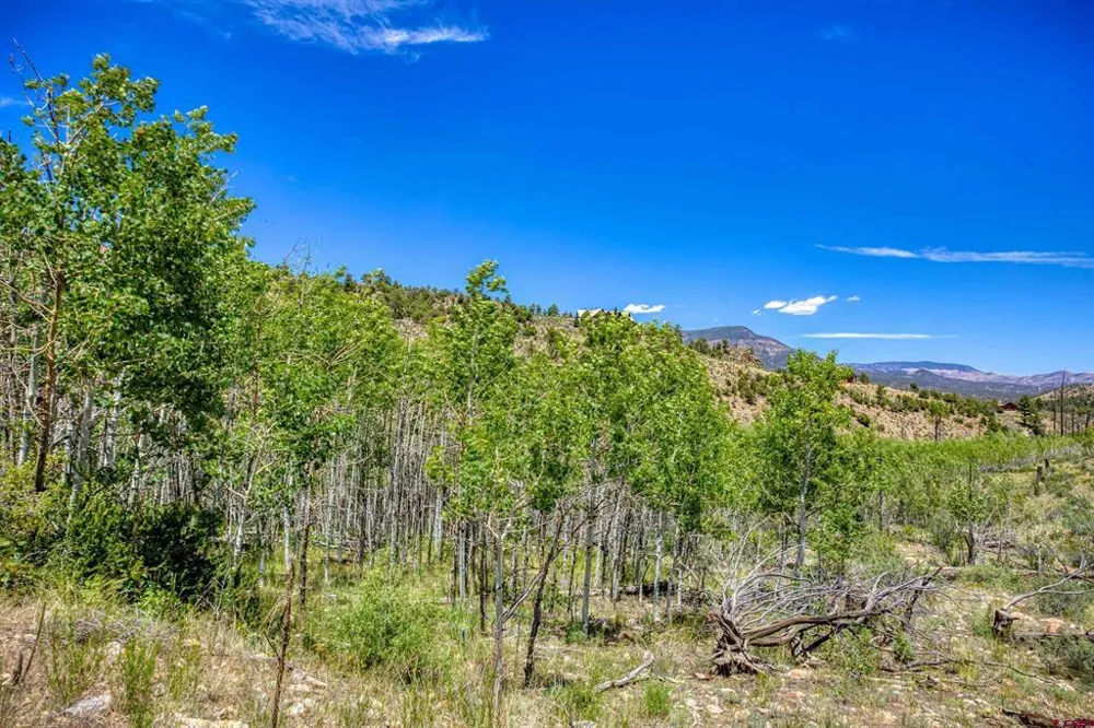302 Rickel Circle South Fork, CO 81154