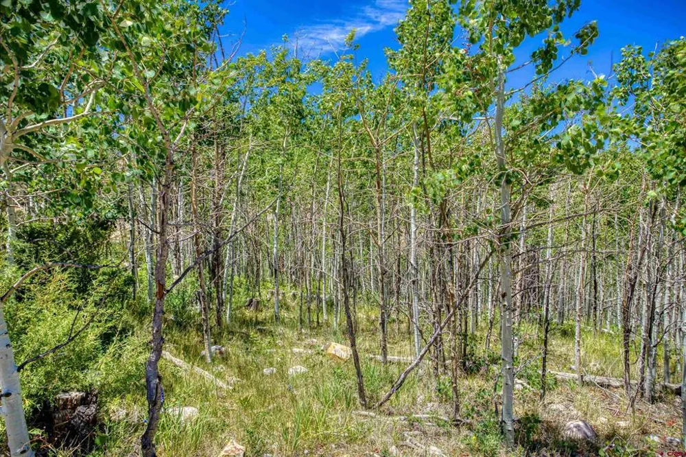 302 Rickel Circle South Fork, CO 81154