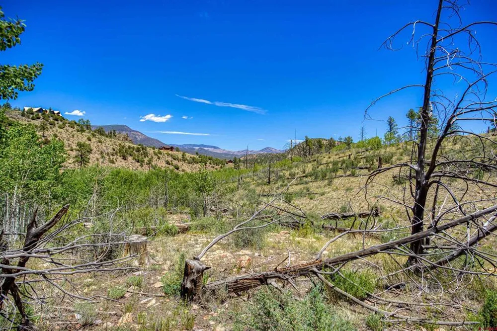 302 Rickel Circle South Fork, CO 81154
